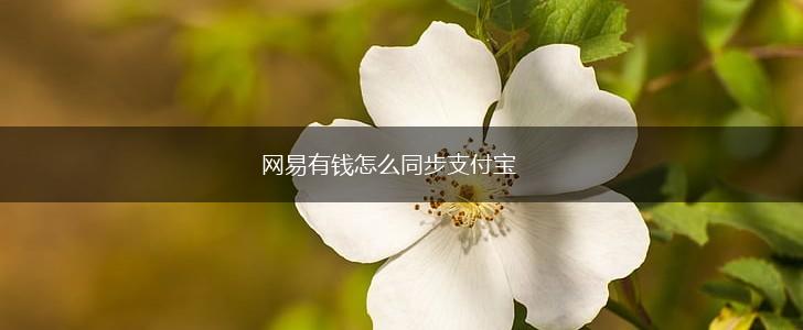 网易有钱怎么同步支付宝,第1张