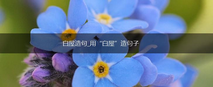 白屋造句_用“白屋”造句子,第1张