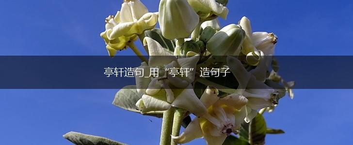 亭轩造句_用“亭轩”造句子,第1张