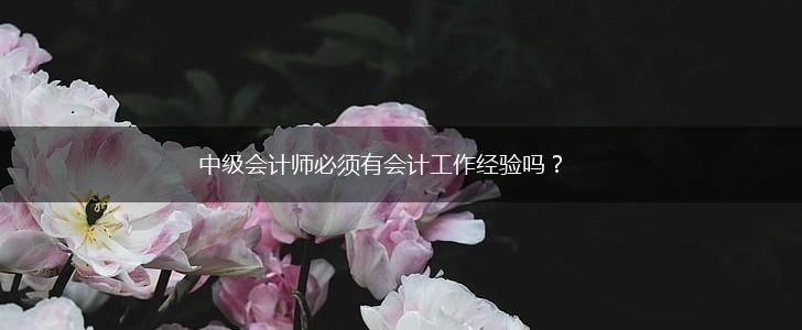 中级会计师必须有会计工作经验吗？,第1张