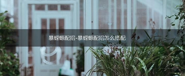 暴蝾螈配招-暴蝾螈配招怎么搭配,第1张
