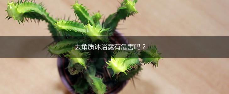去角质沐浴露有危害吗？,第1张