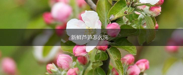 新鲜芦笋怎么洗,第1张
