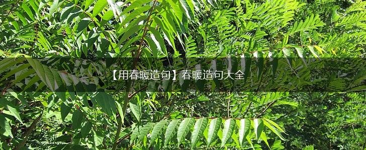 【用春暖造句】春暖造句大全,第1张