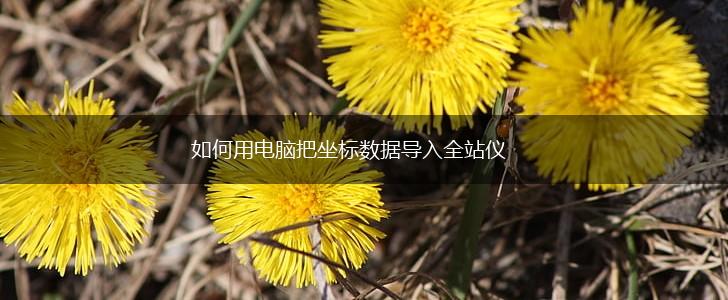 如何用电脑把坐标数据导入全站仪,第1张