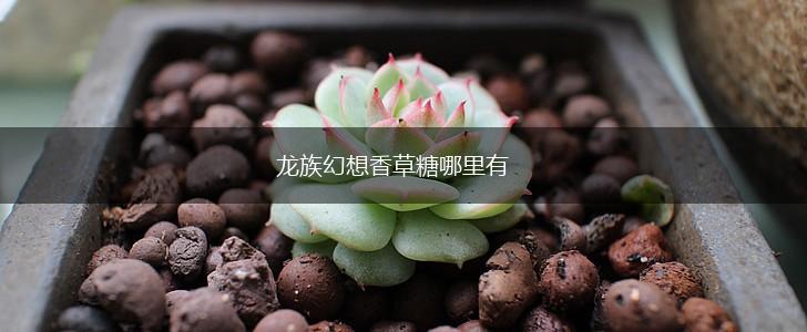 龙族幻想香草糖哪里有,第1张