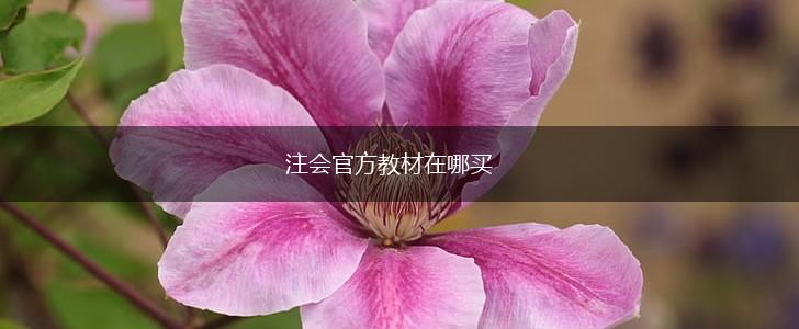注会官方教材在哪买,第1张