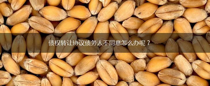 债权转让协议债务人不同意怎么办呢？,第1张