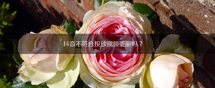 抖音不符合投放视频要删吗？,第1张