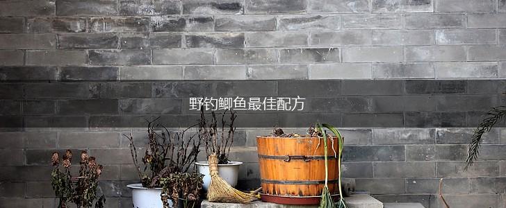 野钓鲫鱼最佳配方,第1张
