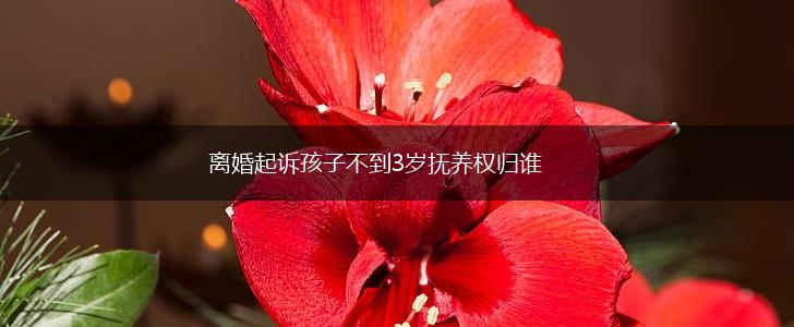 离婚起诉孩子不到3岁抚养权归谁,第1张
