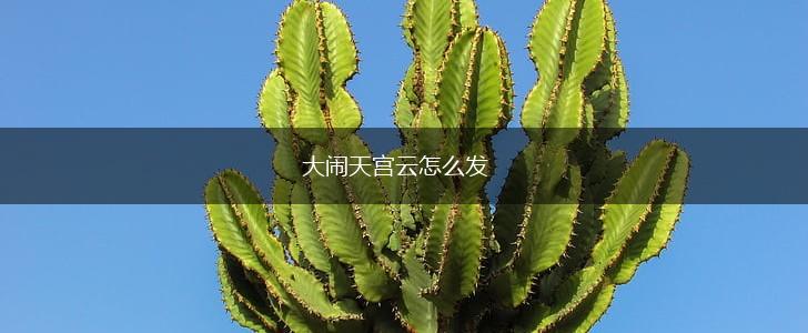 大闹天宫云怎么发,第1张