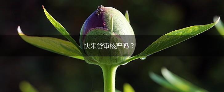快来贷审核严吗？,第1张