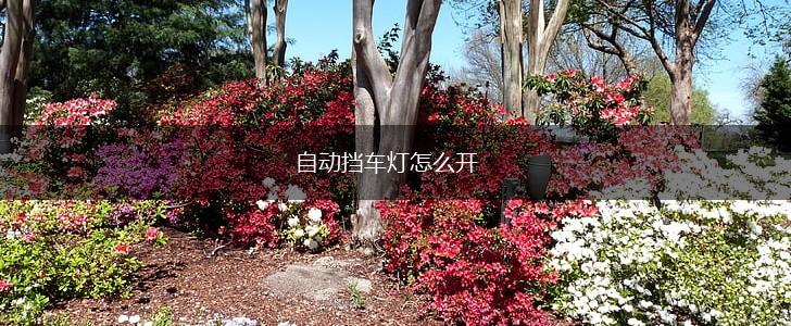 自动挡车灯怎么开,第1张