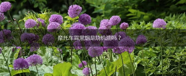 摩托车冒黑烟是烧机油吗？,第1张