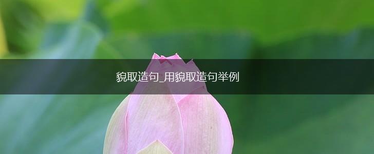 貌取造句_用貌取造句举例,第1张