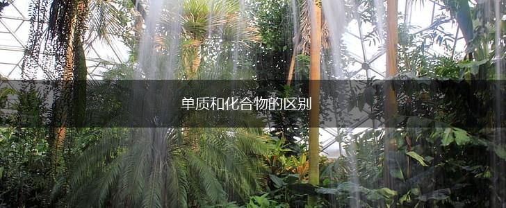 单质和化合物的区别,第1张
