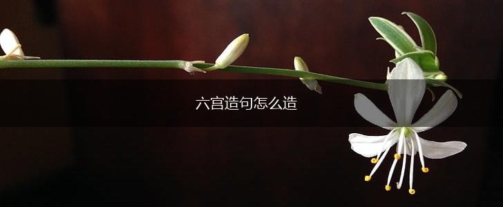 六宫造句怎么造,第1张