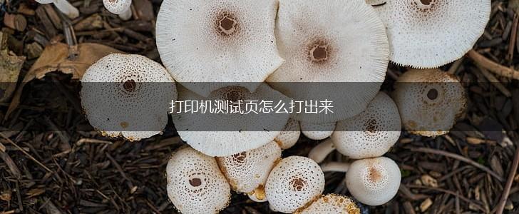 打印机测试页怎么打出来,第1张