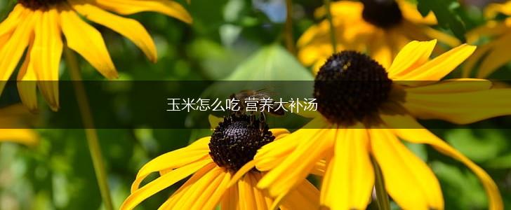玉米怎么吃 营养大补汤,第1张