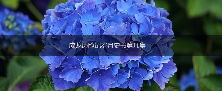 成龙历险记岁月史书第几集,第1张