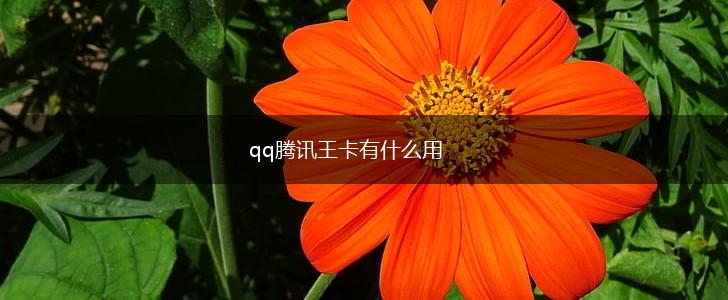 qq腾讯王卡有什么用,第1张