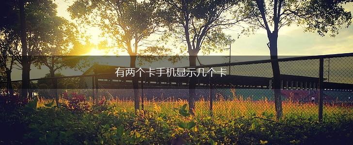 有两个卡手机显示几个卡,第1张