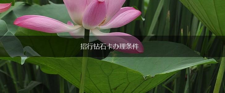 招行钻石卡办理条件,第1张