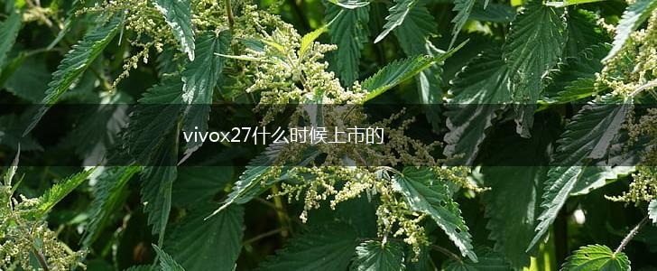 vivox27什么时候上市的,第1张