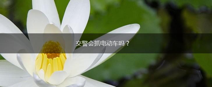 交警会抓电动车吗？,第1张