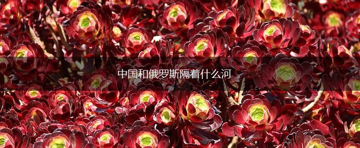 中国和俄罗斯隔着什么河,第1张