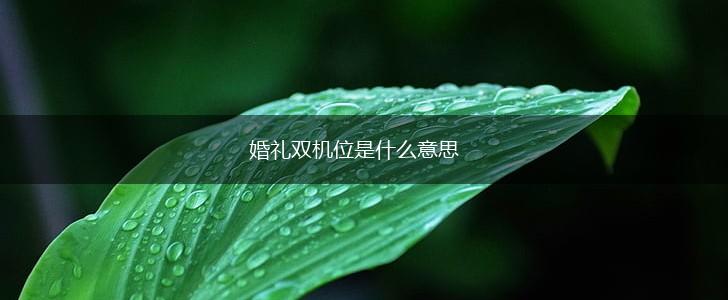 婚礼双机位是什么意思,第1张