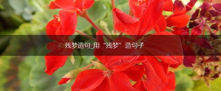 残梦造句_用“残梦”造句子,第1张