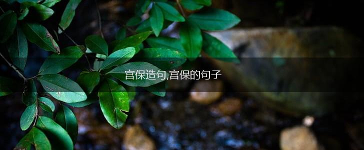 宫保造句,宫保的句子,第1张