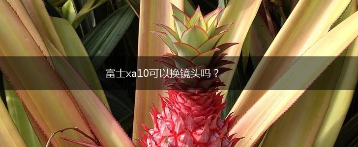 富士xa10可以换镜头吗？,第1张