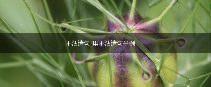 不沾造句_用不沾造句举例,第1张