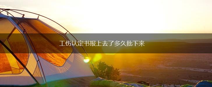 工伤认定书报上去了多久批下来,第1张