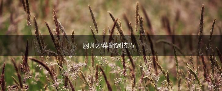 厨师炒菜翻锅技巧,第1张