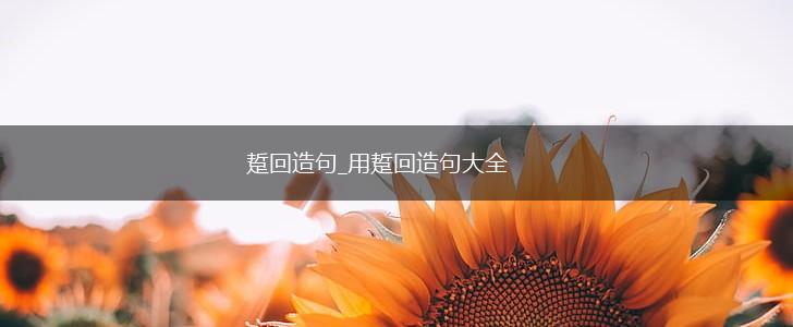 踅回造句_用踅回造句大全,第1张