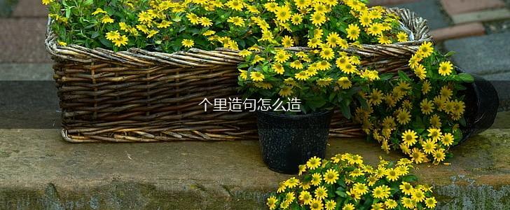 个里造句怎么造,第1张