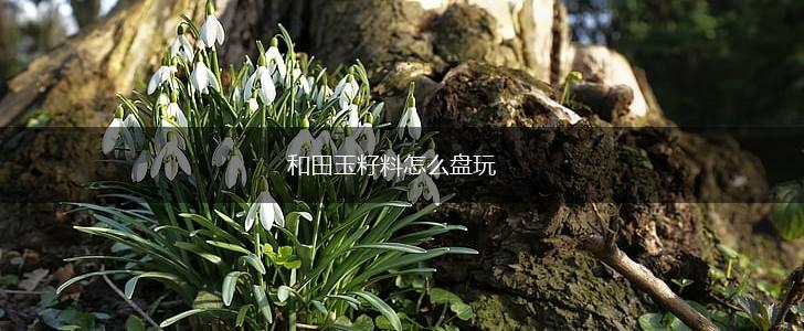 和田玉籽料怎么盘玩,第1张