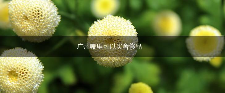 广州哪里可以买奢侈品,第1张
