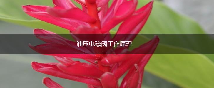 油压电磁阀工作原理,第1张