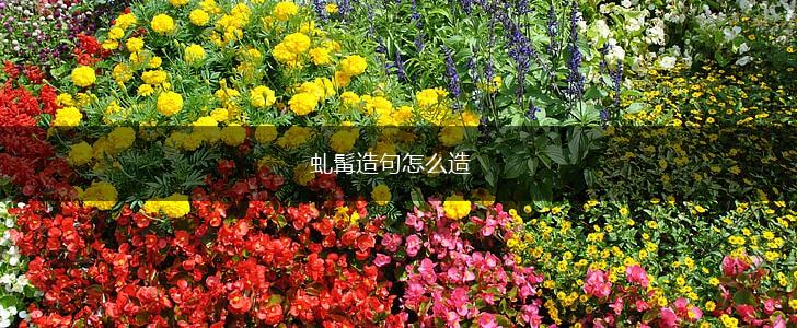 虬髯造句怎么造,第1张