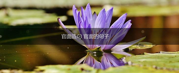 官面造句 官面的句子,第1张