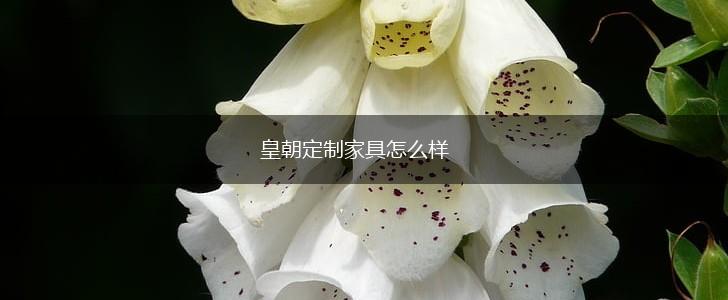 皇朝定制家具怎么样,第1张