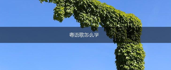 粤语歌怎么学,第1张