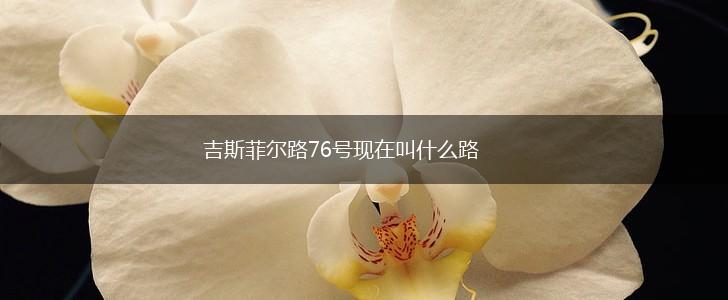 吉斯菲尔路76号现在叫什么路,第1张
