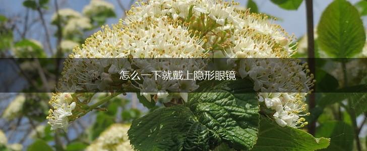 怎么一下就戴上隐形眼镜,第1张