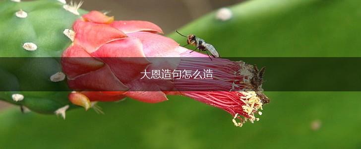 大恩造句怎么造,第1张